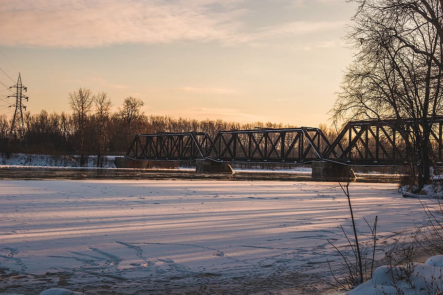 gray bridge near trees during daytime, black metal bridge, structure HD wallpaper