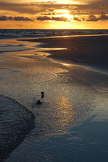 sunset, siesta key, florida, beach, water, sea, beauty in nature HD wallpaper