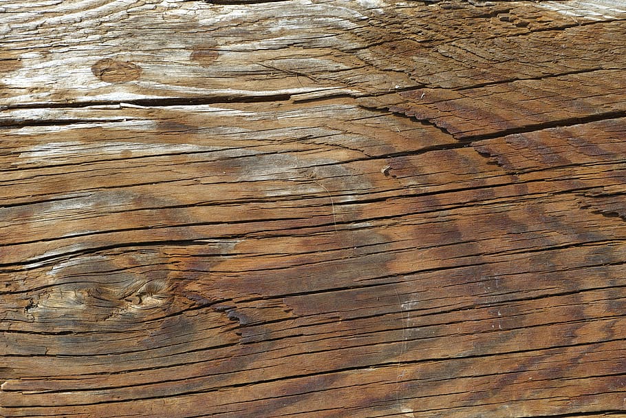 brown wooden board, wood-fibre boards, tree, ground, pattern HD wallpaper
