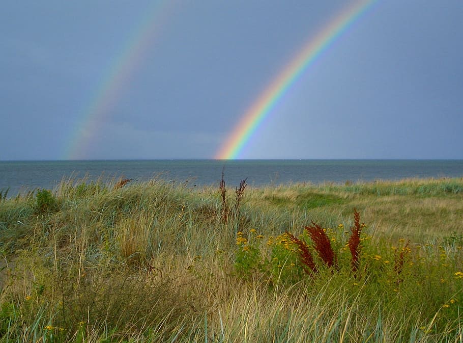 green field beside the sea and rainbow, denmark, landscape HD wallpaper