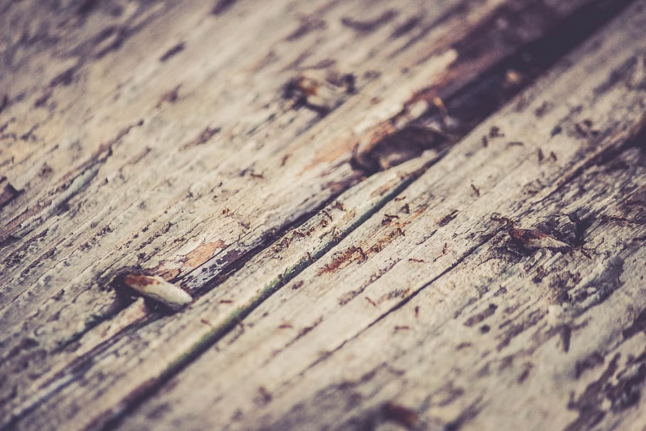 rustic, wood, texture, wood - material, textured, close-up HD wallpaper