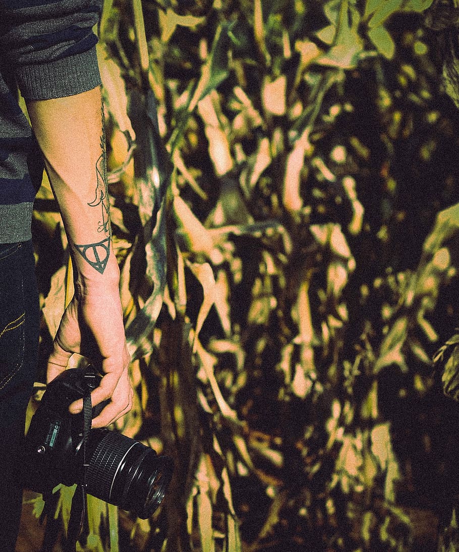 person holding DSLR camera standing near banana trees, nature HD wallpaper