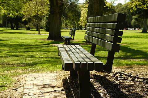 park, bench, relax, outdoors, summer, adelaide, tree, plant HD wallpaper