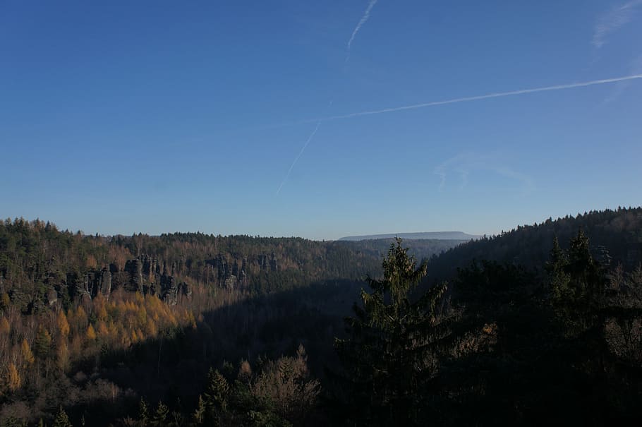 contrail, clear, nature, landscape, view, forest, tree, scenics HD wallpaper