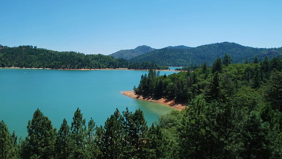 lake, shasta, california, water, nature, tree, scenics - nature, HD wallpaper