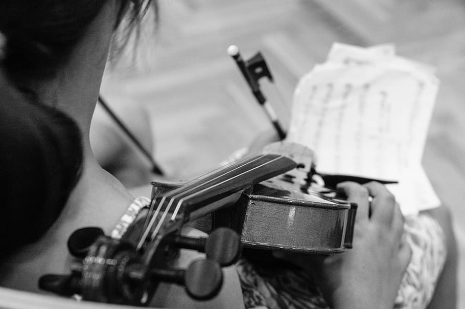 violin, music, notenblatt, musician, string, one person, holding, HD wallpaper