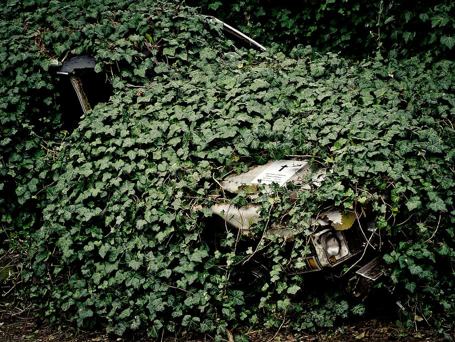 auto, wreck, scrap, oldtimer, broken, vehicle, rusted, overgrown HD wallpaper