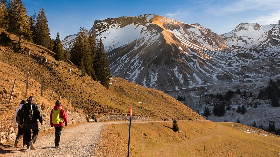 landscape, winter, wintry, nature, mountains, switzerland, group of people HD wallpaper
