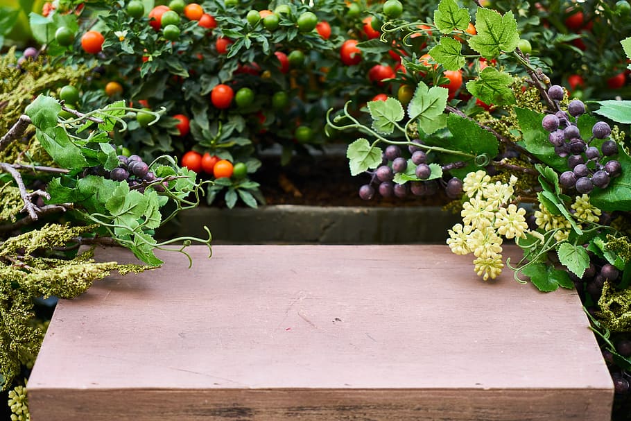 berries on wooden surface, plant, garden, spring, flower, nature HD wallpaper
