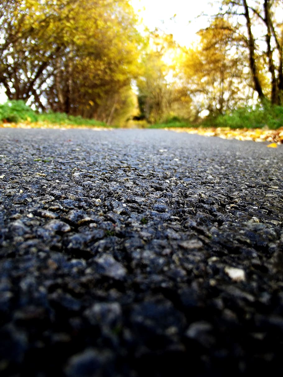 Path, Nature, Asphalt, autumn, road, outdoors, leaf, street HD wallpaper