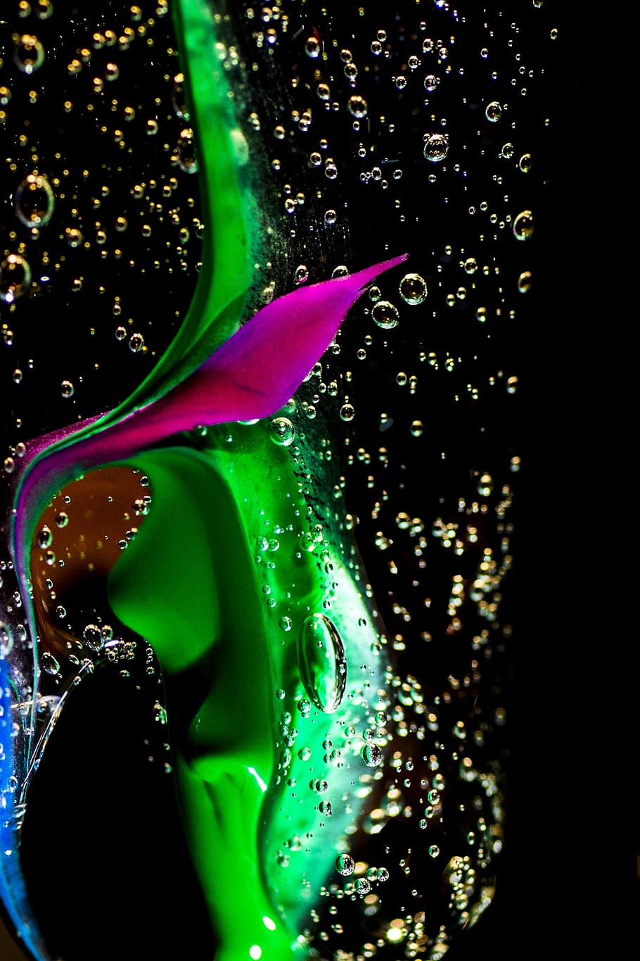 fantasy, bubbles, water, drops, close-up, green color, indoors HD wallpaper