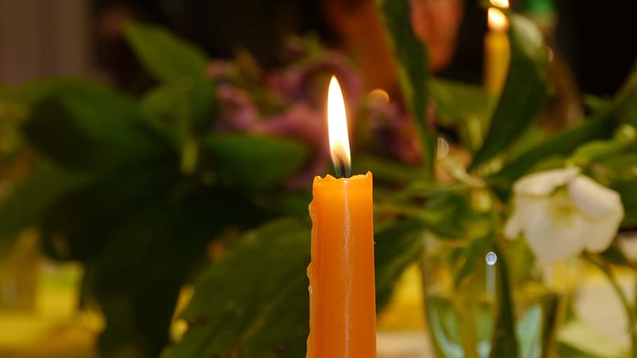 candlelight, evening light, roma table, burning, fire, flame HD wallpaper