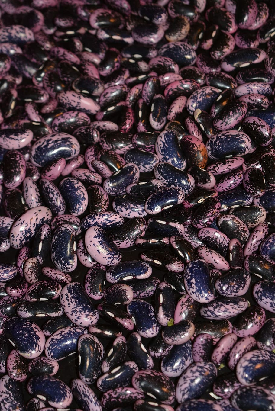 Beans, Vegetables, Legumes, food and drink, backgrounds, purple HD wallpaper