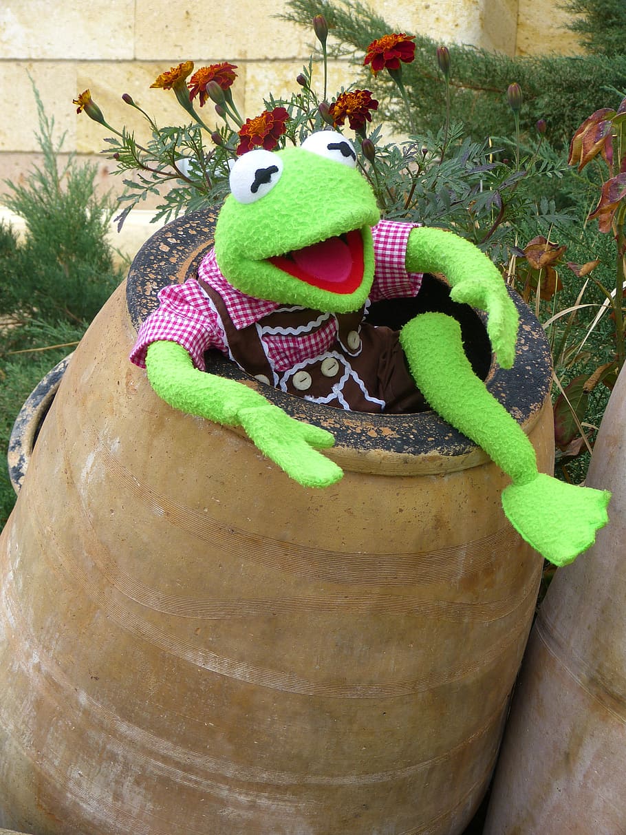 Kermit the frog on gray jar, green, barrel, ton, clay pot, joy HD wallpaper