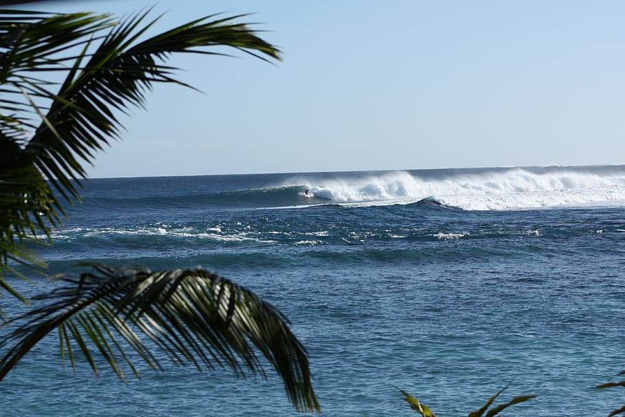 Reef, Surf, Waves, Surfing, Ocean, Sea, beach, palm tree, horizon over water HD wallpaper