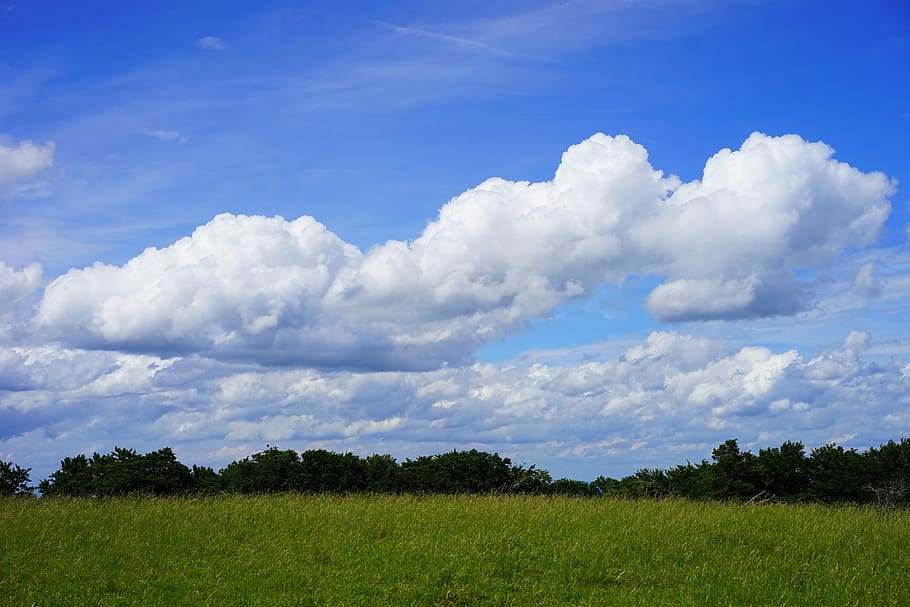 clouds, cloud formations, heathland, landscape, nature, idyll HD wallpaper