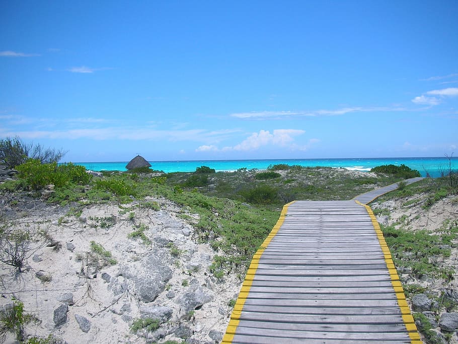 gray wooden pathway towards sea, Travel, Cuba, Water, Wild HD wallpaper