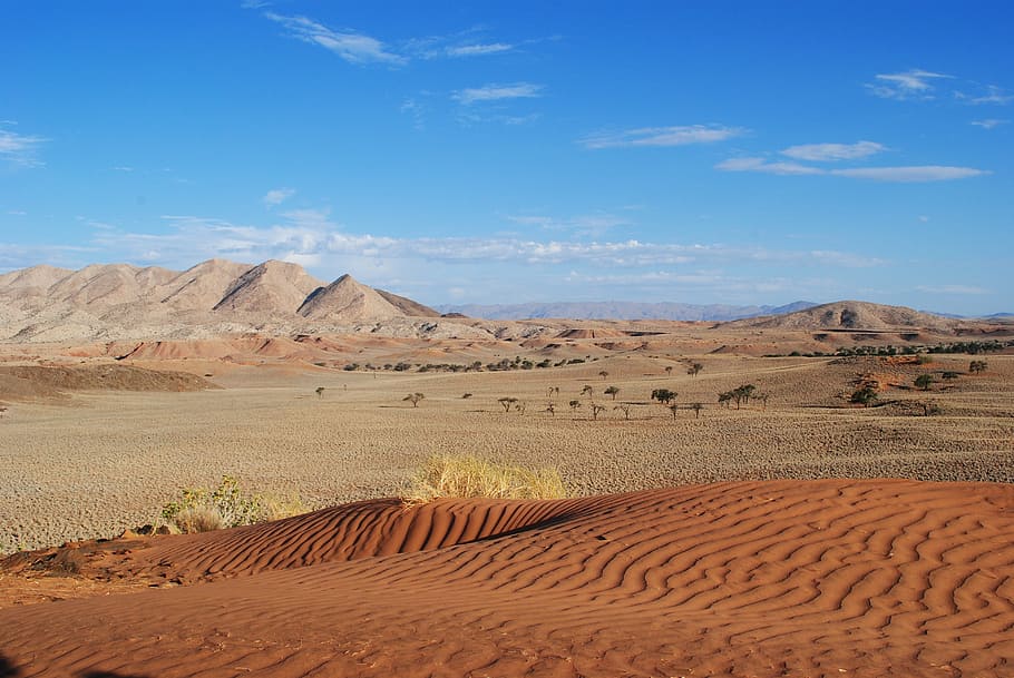 desert during daytime, namibia, africa, dune, sand, earth, landscape HD wallpaper