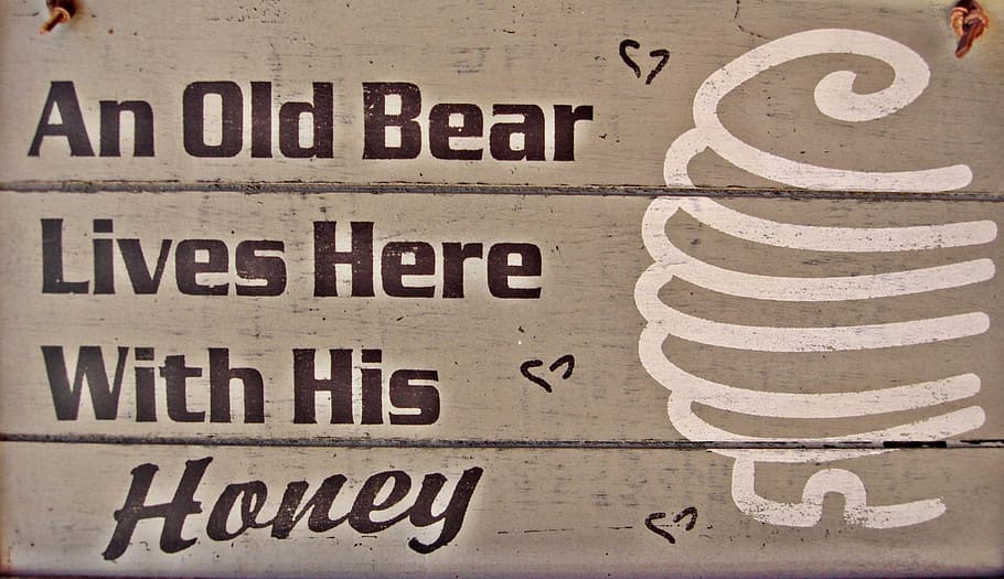 old bear, sign, retro, design, emblem, banner, logo, vintage HD wallpaper