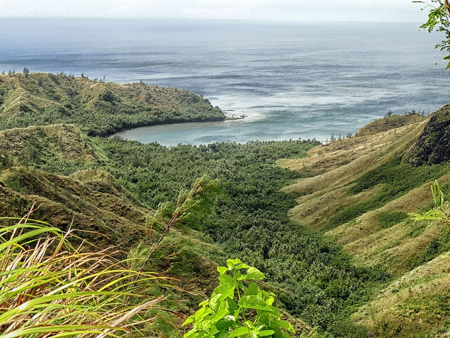 Bay, Guam, Forest, Trees, Sea, cetti bay, ocean, water, hdr, HD wallpaper