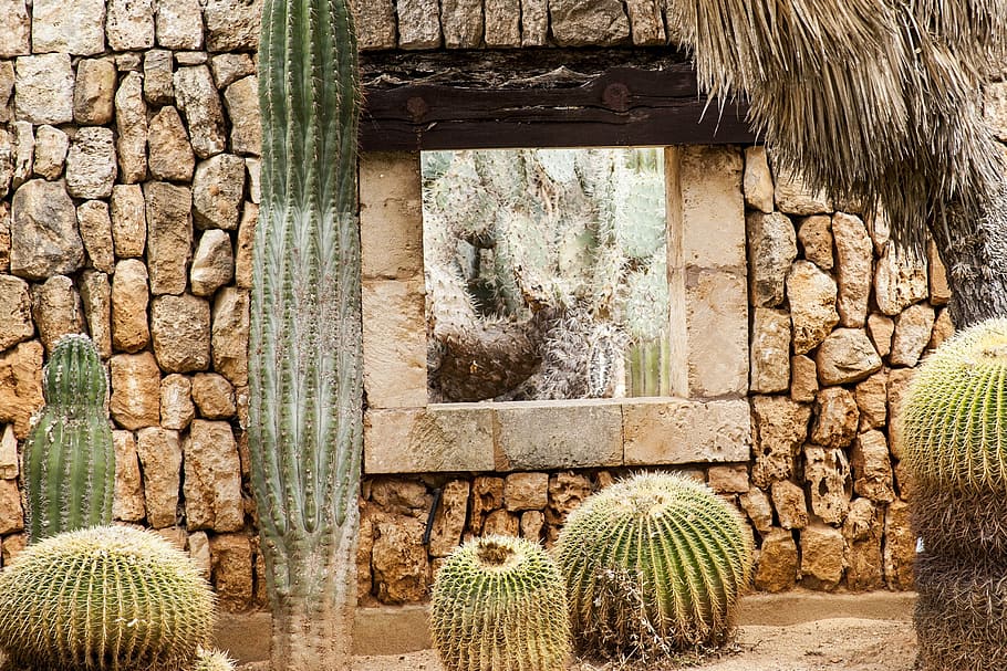 drywall, window, cactus, by looking, mediterranean, cultures HD wallpaper