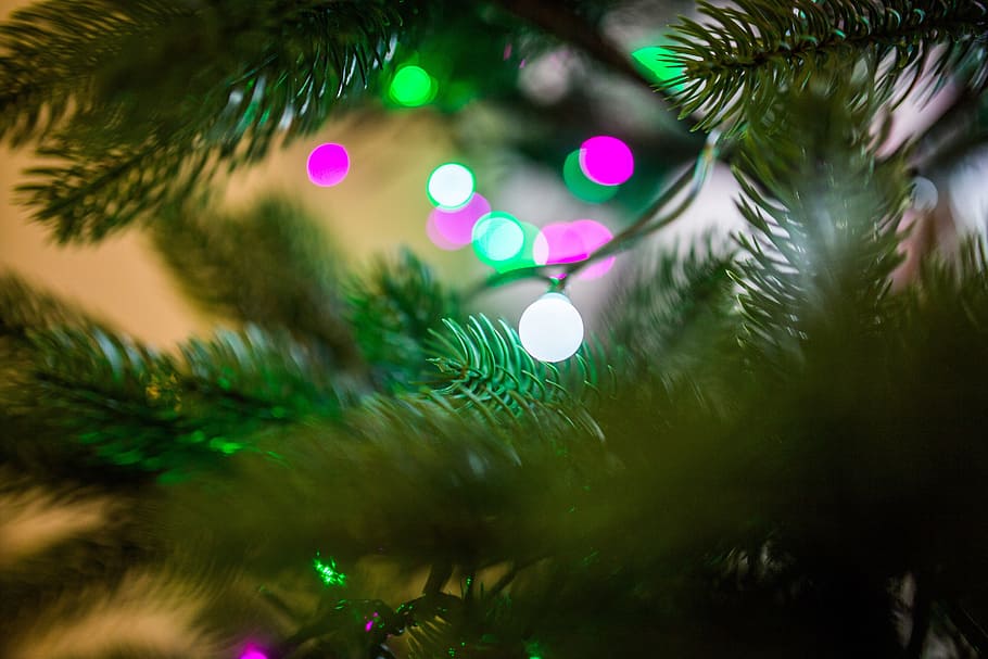 christmas, tree, lights, decorations, ornaments, festive, celebration HD wallpaper