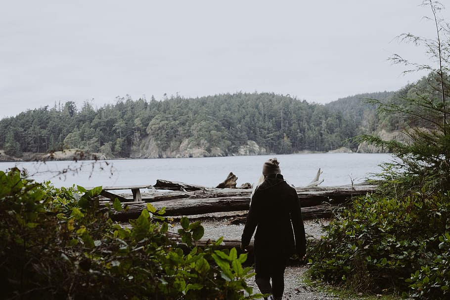 woman standing near the green plant and log during daytime, person standing between plants near logs and water at daytime HD wallpaper