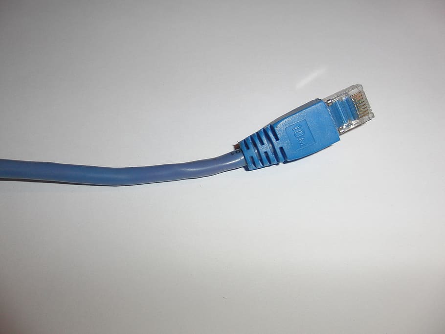 network, cable, ethernet, plug, wlan, blue, computer cable, HD wallpaper