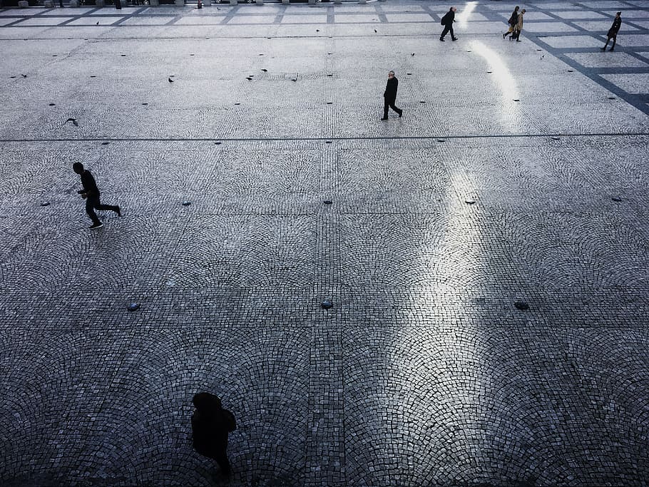 people walking on park during daytime, people walking on concrete walkway, HD wallpaper