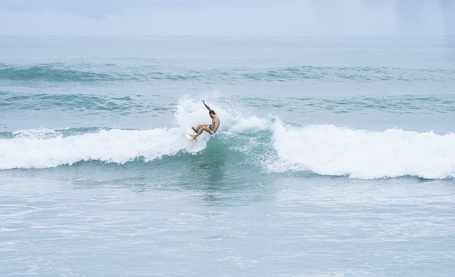 man riding a surfboard facing the waves on the ocean, man surfing on wave HD wallpaper