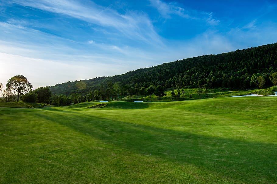 grass fields and trees, Golf, Blue Sky, White Cloud, green HD wallpaper