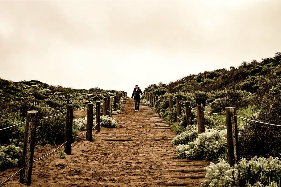 person walking on stairs outdoors, man, black, shirt, pathway HD wallpaper