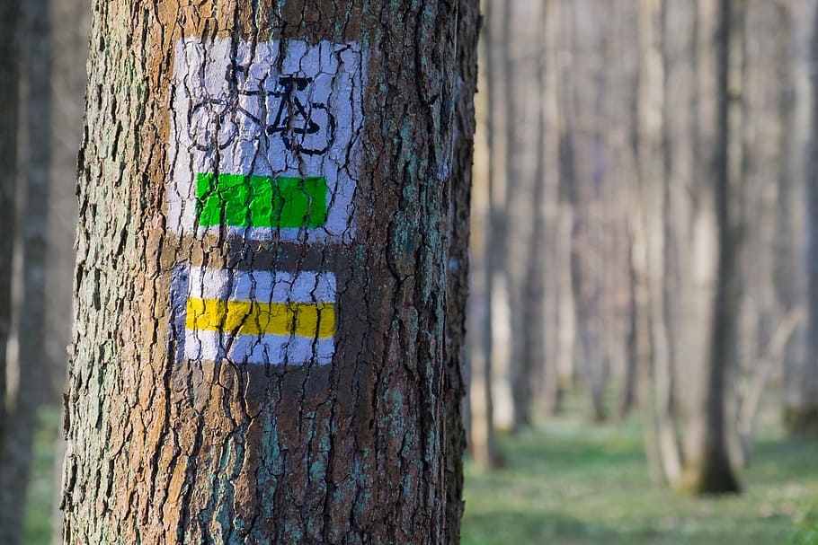 bike, route, sign, trial, yellow, tourist, forest, woods, signage, HD wallpaper