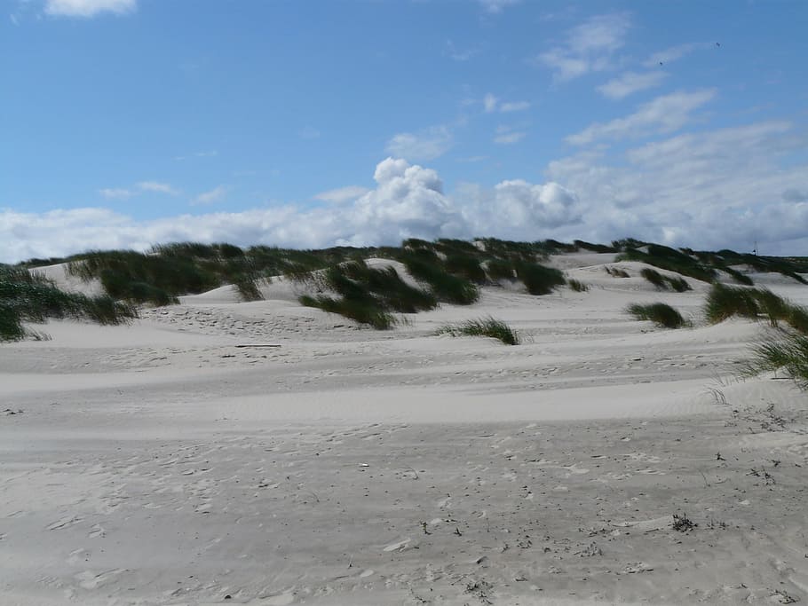 Dunes, North Sea, Sea, Beach, Beach, Sand, marram grass, ammophila, HD wallpaper