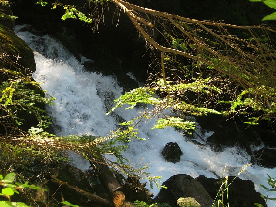 Water, Spring, Channel, Nature, River, cano, green, jet, no people HD wallpaper