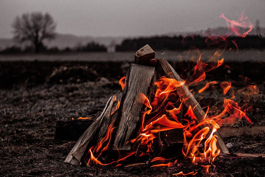 fire, flame, bonfire, campfire, heat, firewood, burning, heat - temperature HD wallpaper