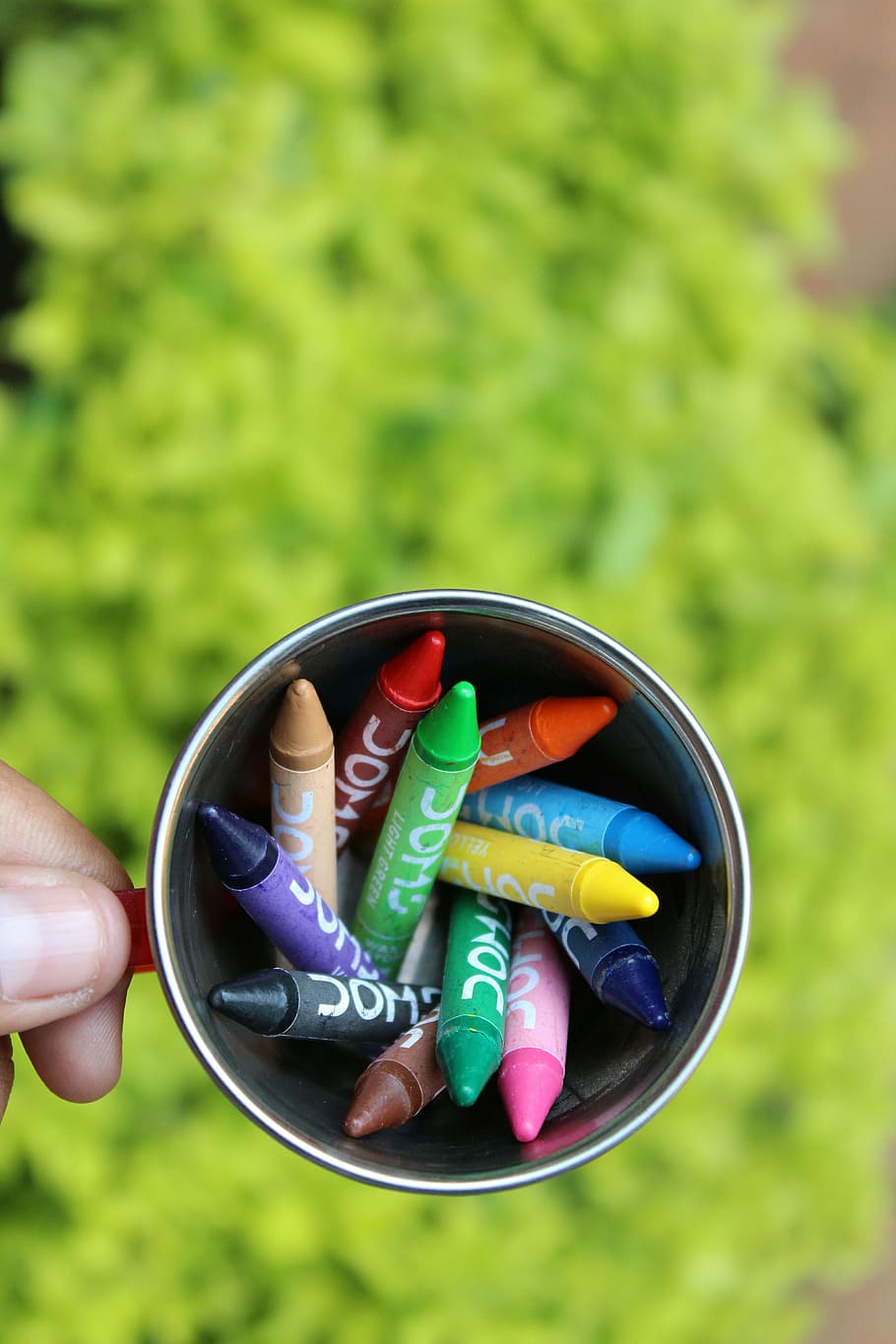 Bundls of colour, shallow focus photography of crayons on cup HD wallpaper