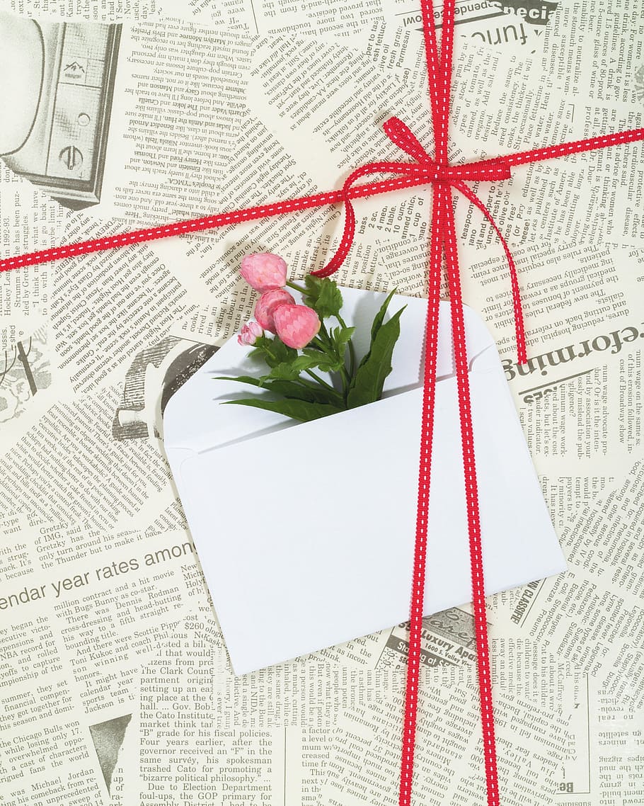 pink petaled flower in envelope, gift, background - page, screen HD wallpaper