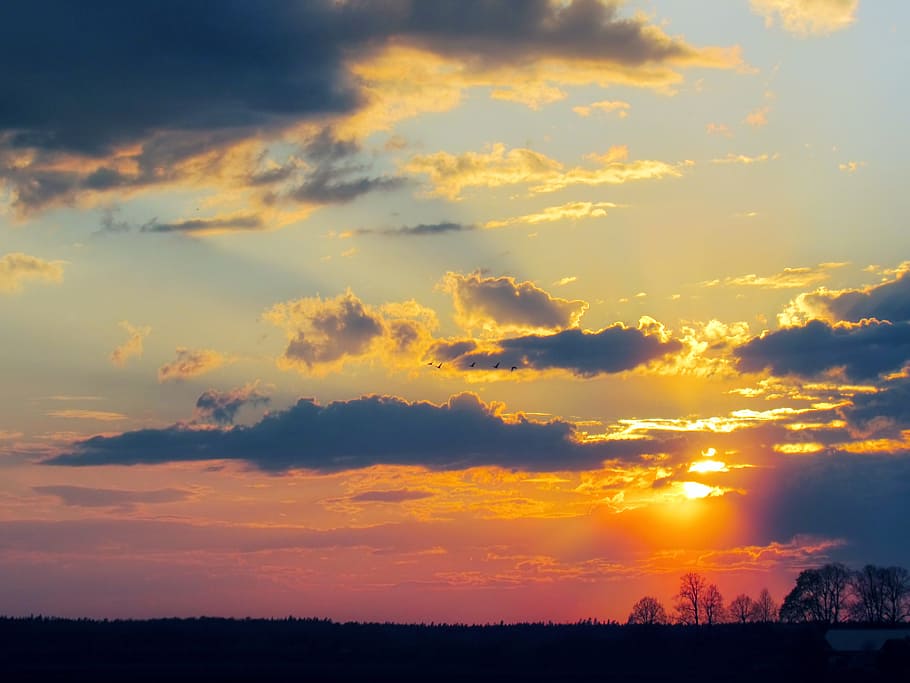 sunset, sky, sunset sky, evening, clouds, twilight, orange sky HD wallpaper