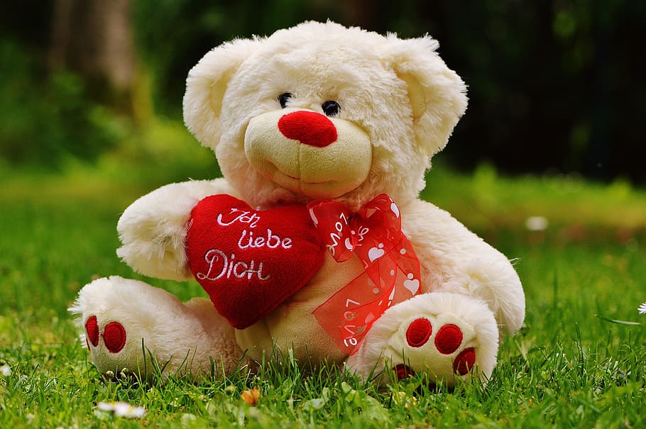 teddy bear, valentine's day, love, greeting card, bears, stuffed animal, HD wallpaper