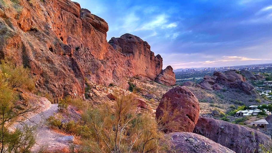 desert, cactus, arizona, rock, rock - object, rock formation HD wallpaper