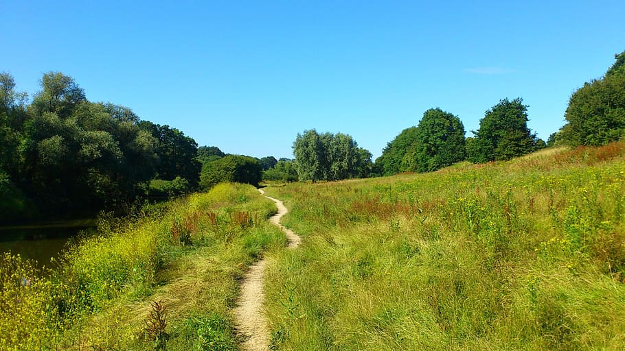 Trail, Kent, River, England, Path, countryside, teeston, nature HD wallpaper