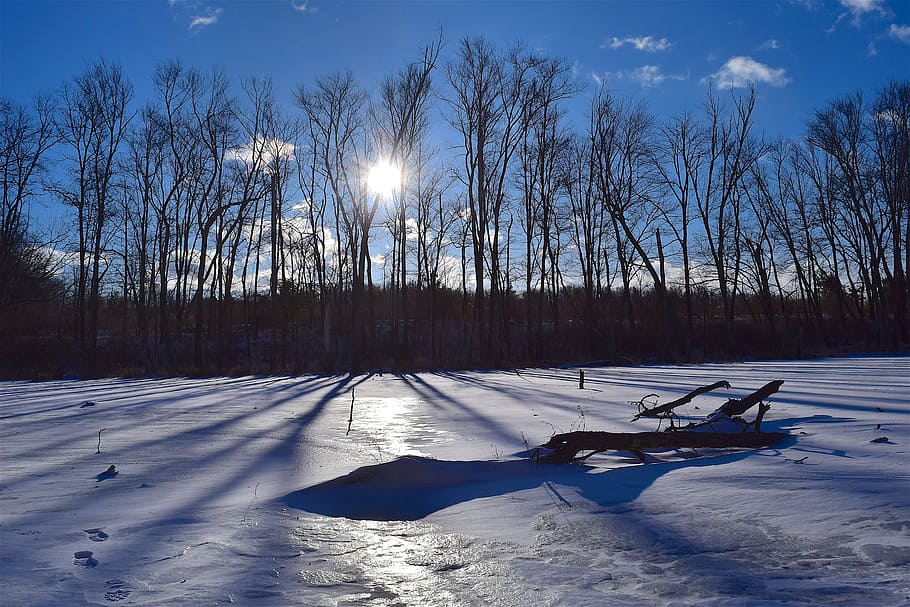 snow, landscape, trees, sun, winter, white, shadows, cold, nature HD wallpaper