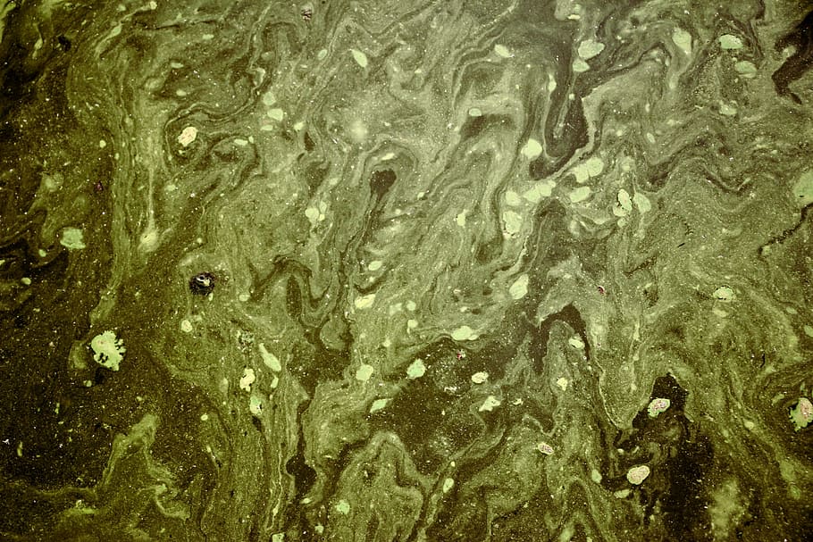 green abstract painting, abstract painting, water, pattern, dirty HD wallpaper