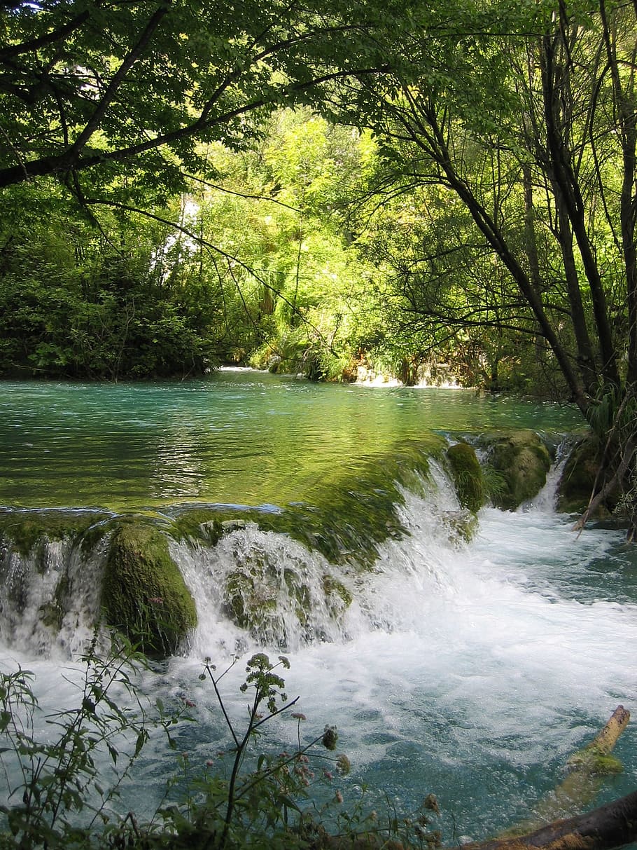 body of water surrounded by green trees, bach, waterfall, forest HD wallpaper