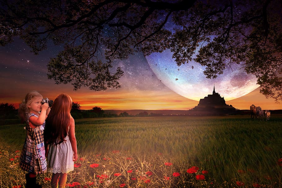 two girls standing near tree illustration, sunset, nature, dusk HD wallpaper