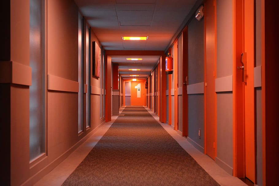 lighted hallway, hotel, gang, perspective, floor, doors, indoors, HD wallpaper