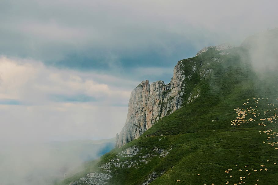 mountain with green grass, landscape photo of mountain cliff with fogs HD wallpaper