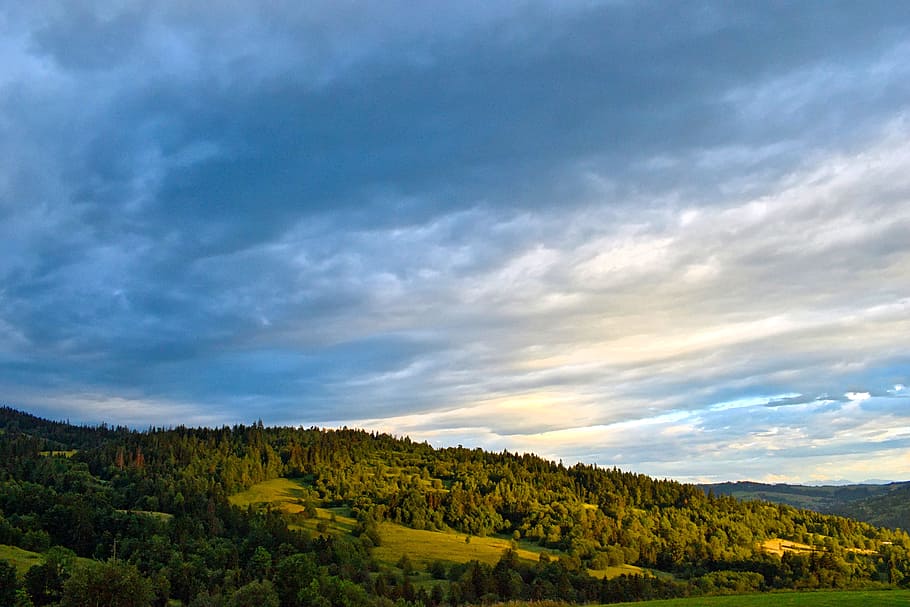 hills with trees during daytime, landscape, sky, clouds, nature HD wallpaper