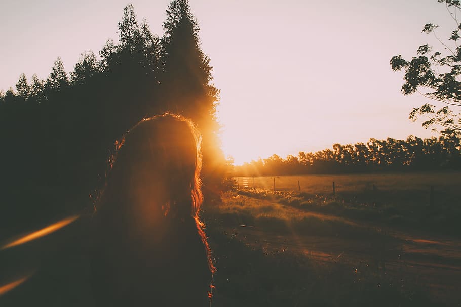 sunset, dusk, sun rays, sunlight, girl, woman, people, rural HD wallpaper